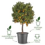 algarve cilindro 48cm mushroom beige